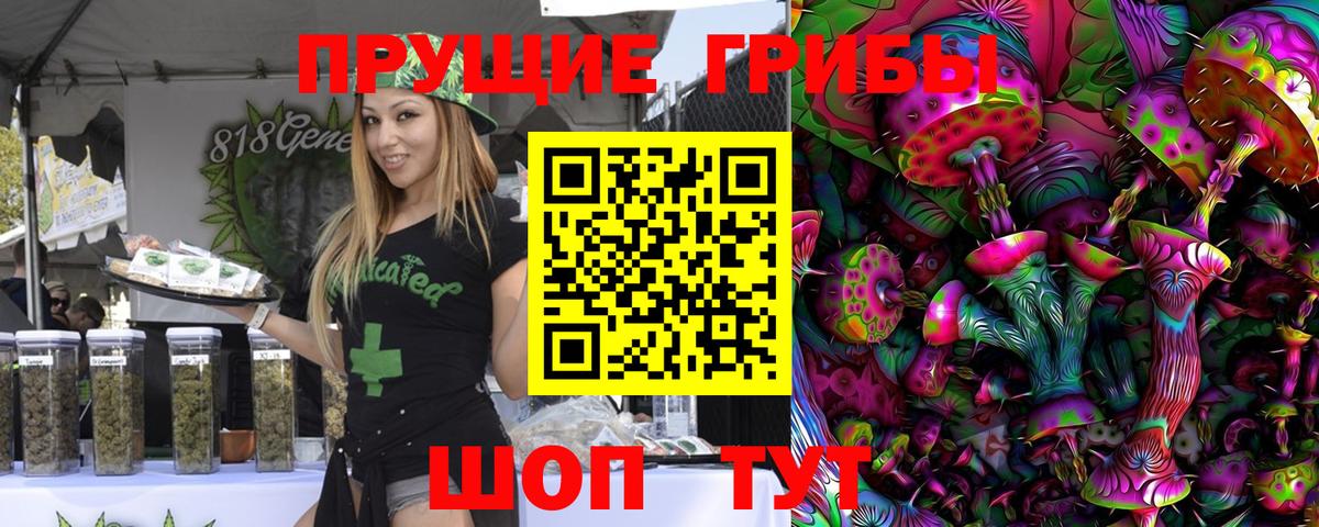 Алушта  Псилоцибиновые грибы MAGIC MUSHROOMS  Вход с VPN 